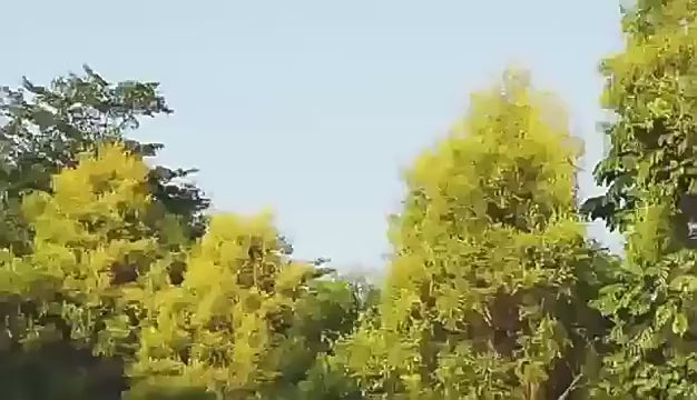 “Spot USB Bottle Heater 🍼🔥 | 3-Speed Portable Insulation Bag | Car & Outdoor 🌲🚗”