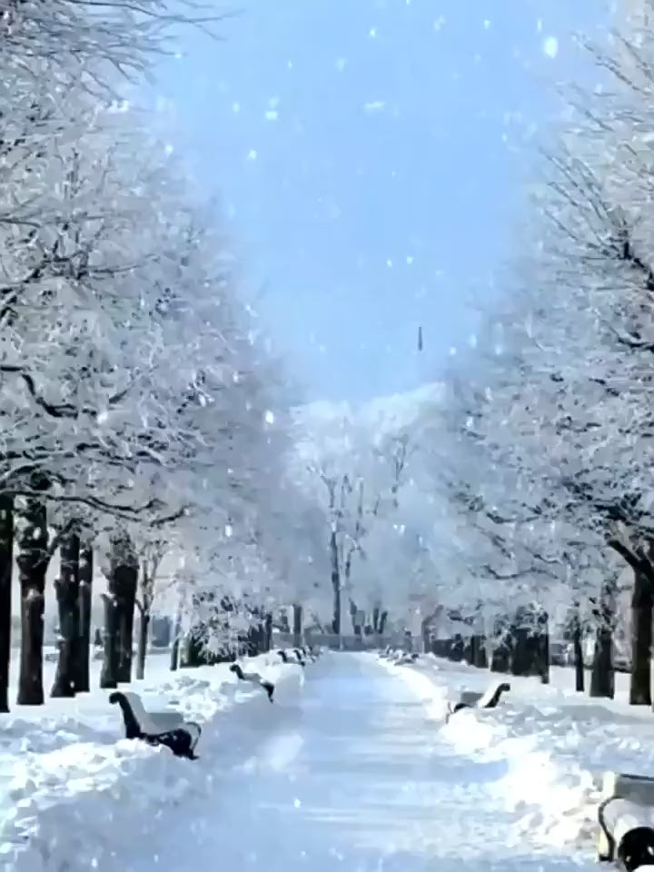 Heated Winter Motorcycle Gloves | Touch Screen Waterproof Gloves for Riding, Skiing & Outdoor Sports